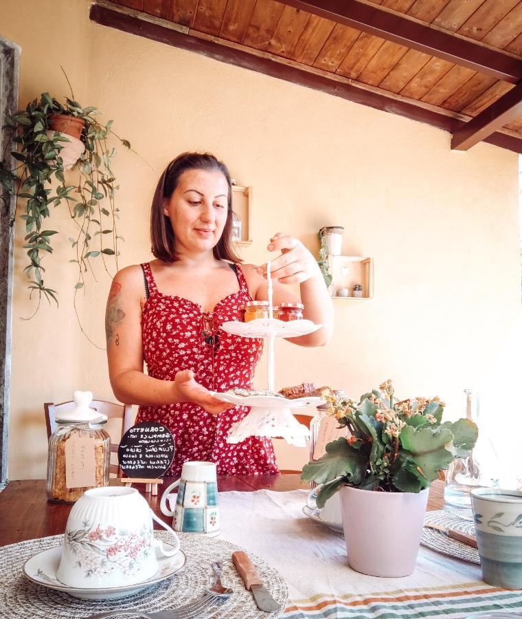Casale Dei Ricordi Bed and Breakfast Arce Eksteriør billede